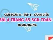 Giải bài 4 trang 65 Toán 8 Tập 1 SGK Cánh Diều